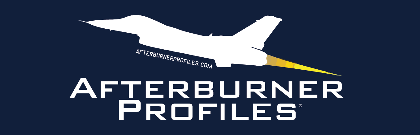 ACC F-16 Viper Demo Team FEMA | Afterburner Profiles